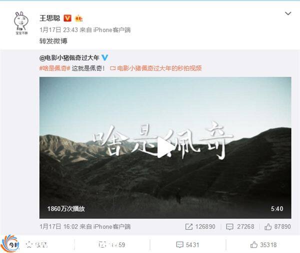 啥是佩琪？佩琪是什么梗？